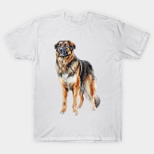 Estrela Mountain Dog T-Shirt